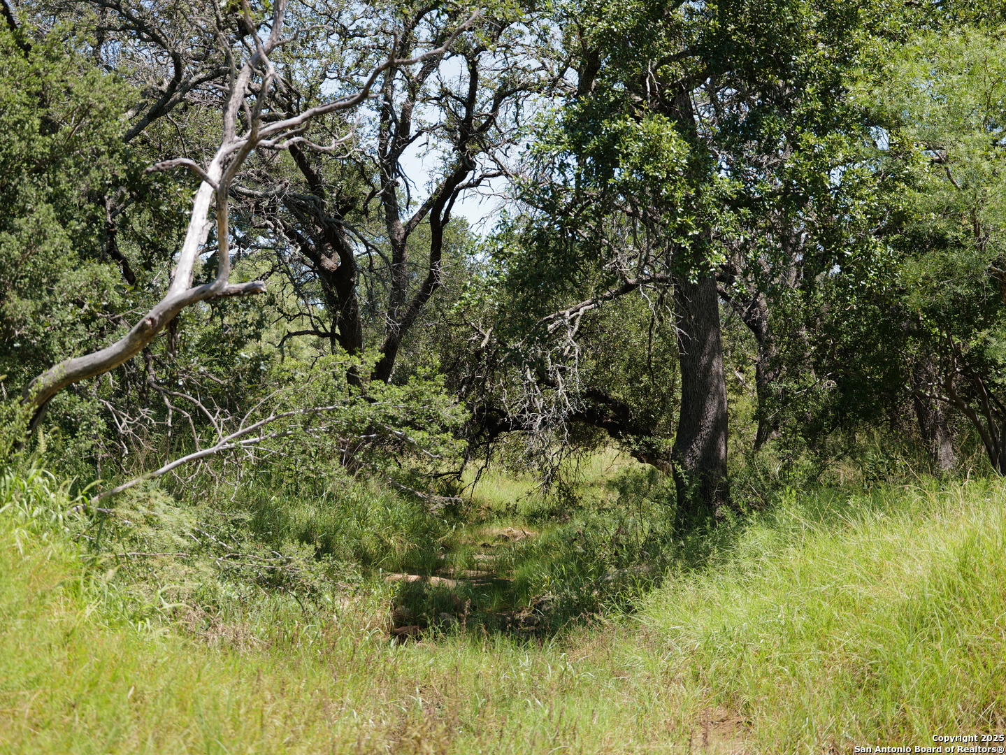 7200 South Us Highw Mason, TX 76856 - Photo 31 of 41 a view of a garden