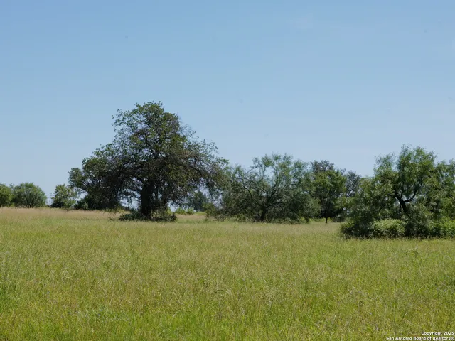 a view of a field with an trees in the background