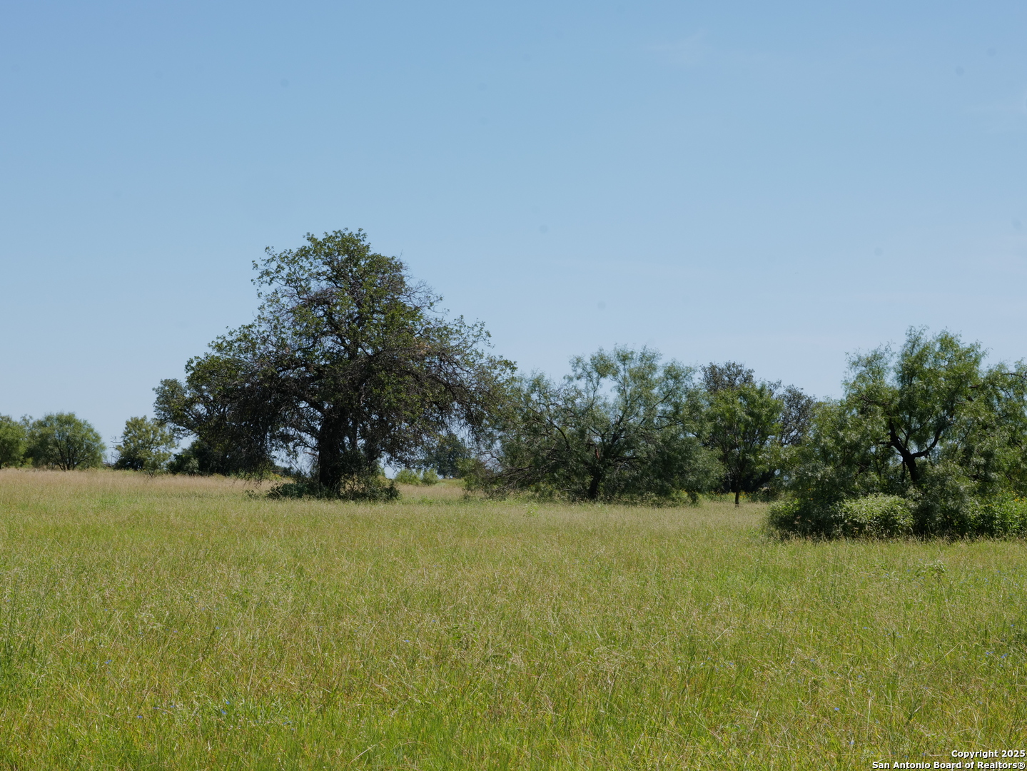7200 South Us Highw Mason, TX 76856 - Photo 5 of 41 a view of a field with an trees in the background