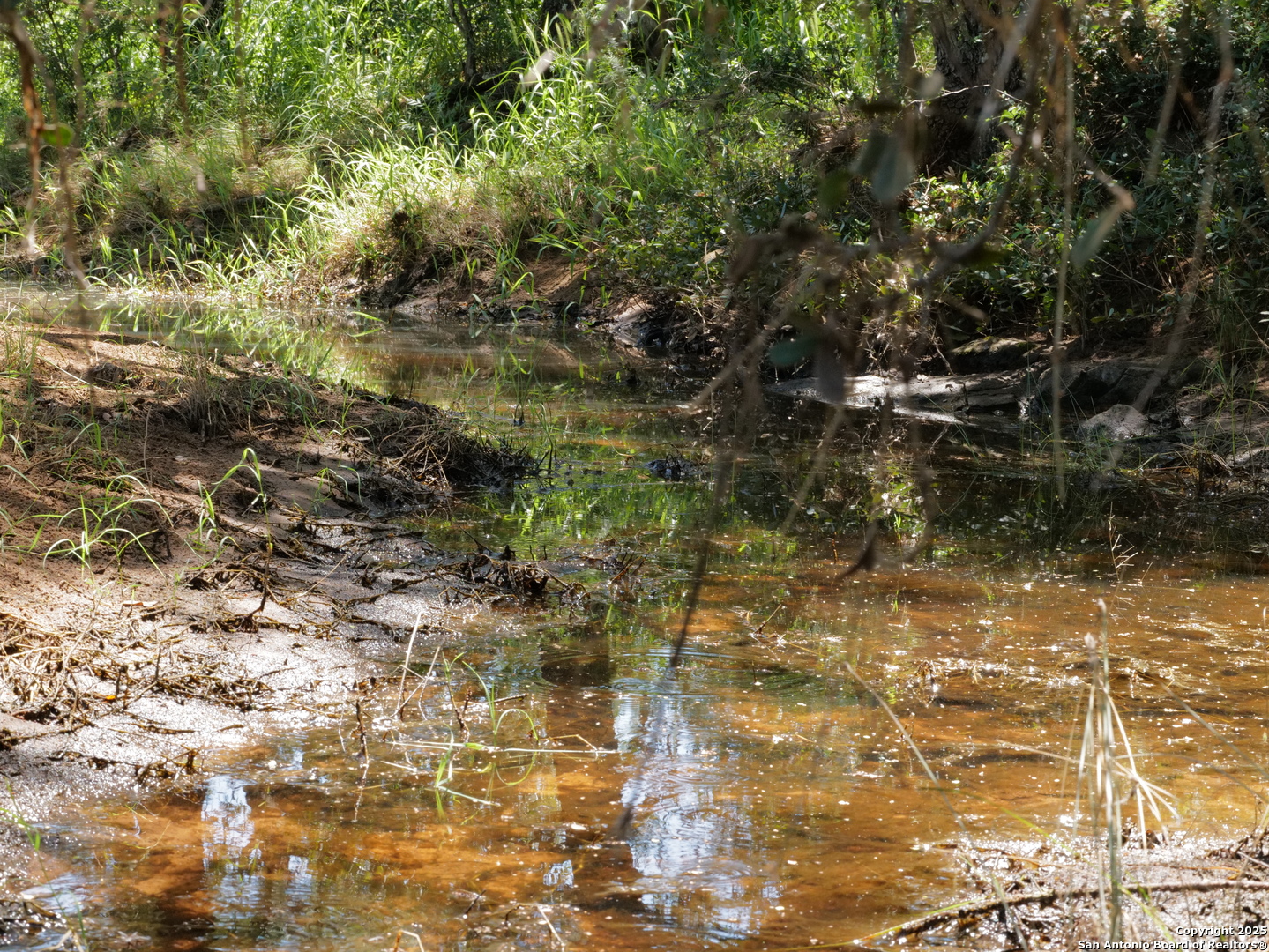 7200 South Us Highw Mason, TX 76856 - Photo 6 of 41 a view of a yard