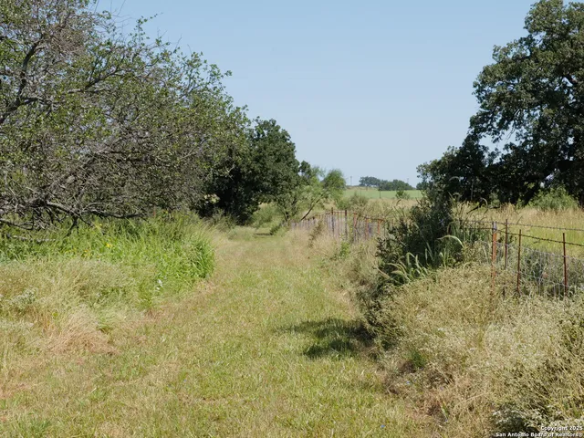 a view of a yard with plants and a bench