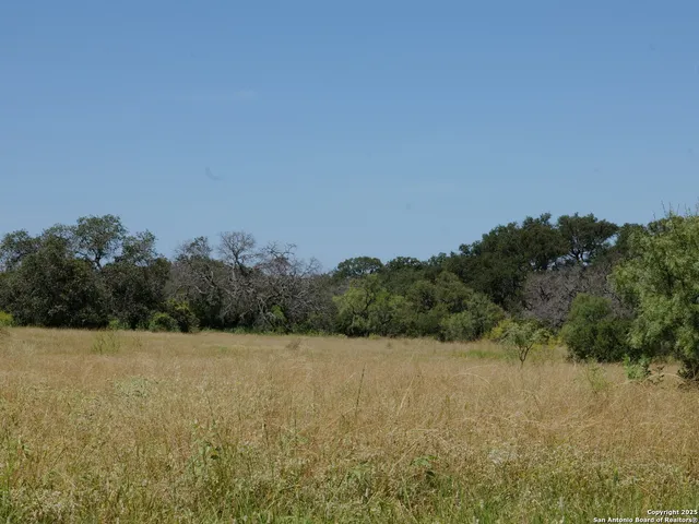 a view of a field with trees in the background