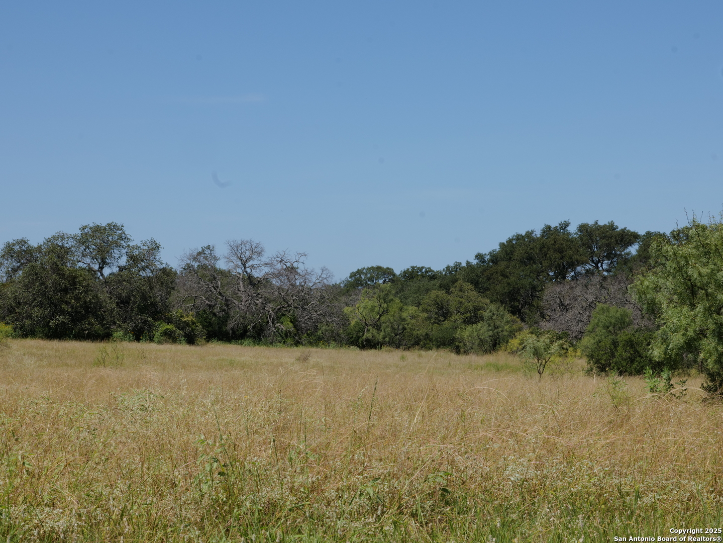 7200 South Us Highw Mason, TX 76856 - Photo 10 of 41 a view of a field with trees in the background