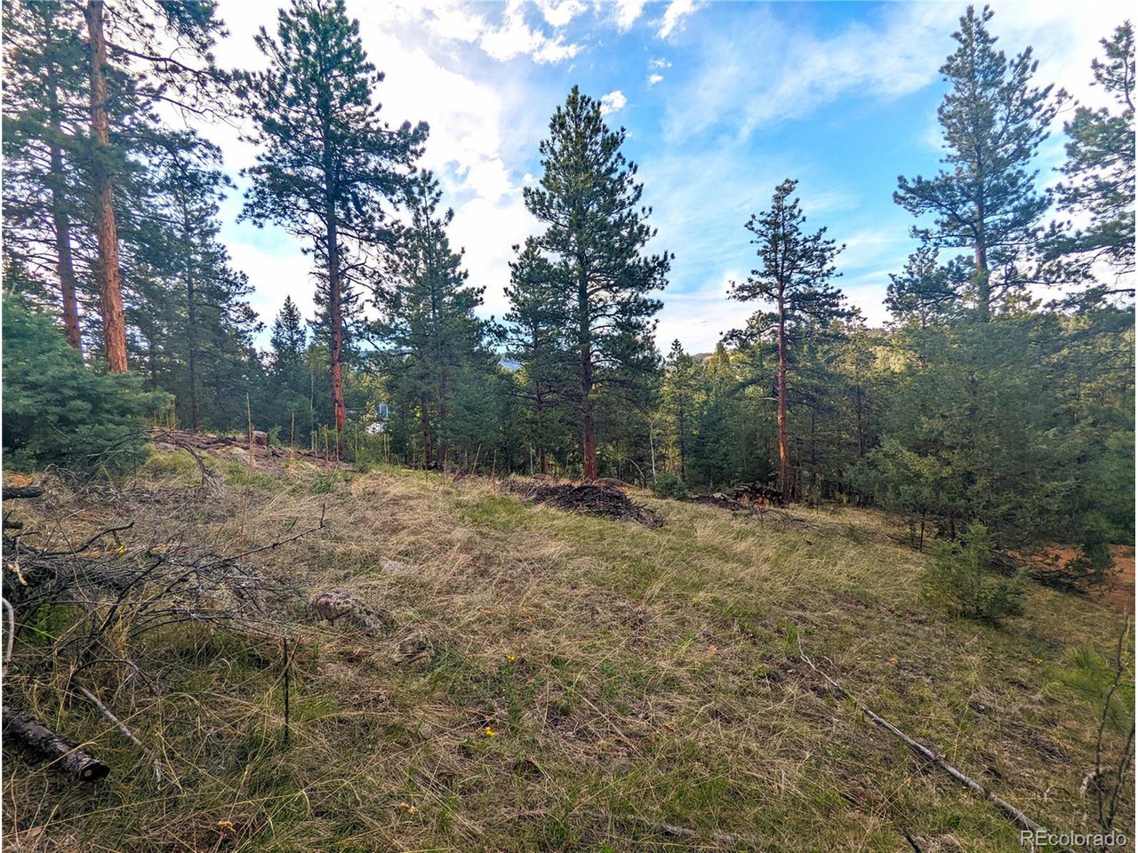 Impala Trail Bailey, CO 80421 - Photo 13 of 33 Gallery Image 13