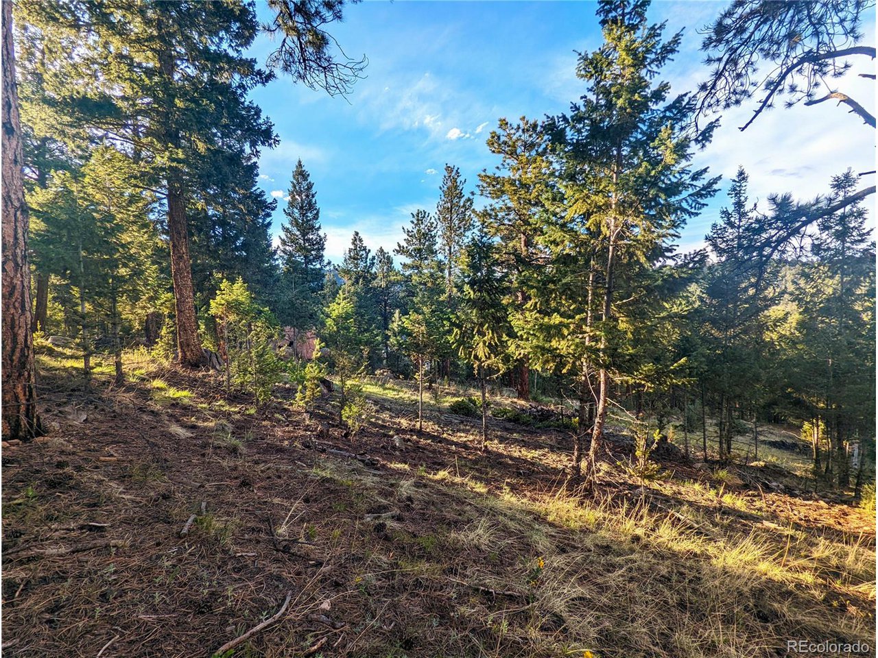 Impala Trail Bailey, CO 80421 - Photo 29 of 33 Gallery Image 29