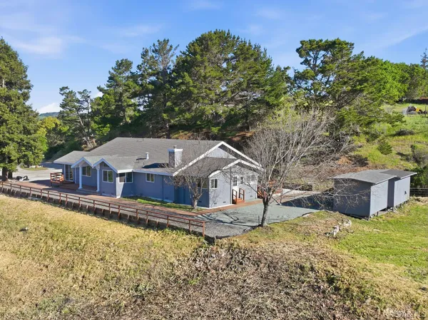 a view of a yard with an tree