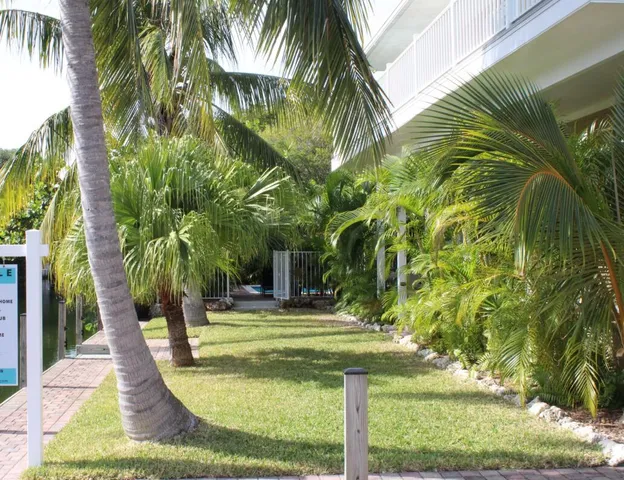 a view of a backyard with palm trees