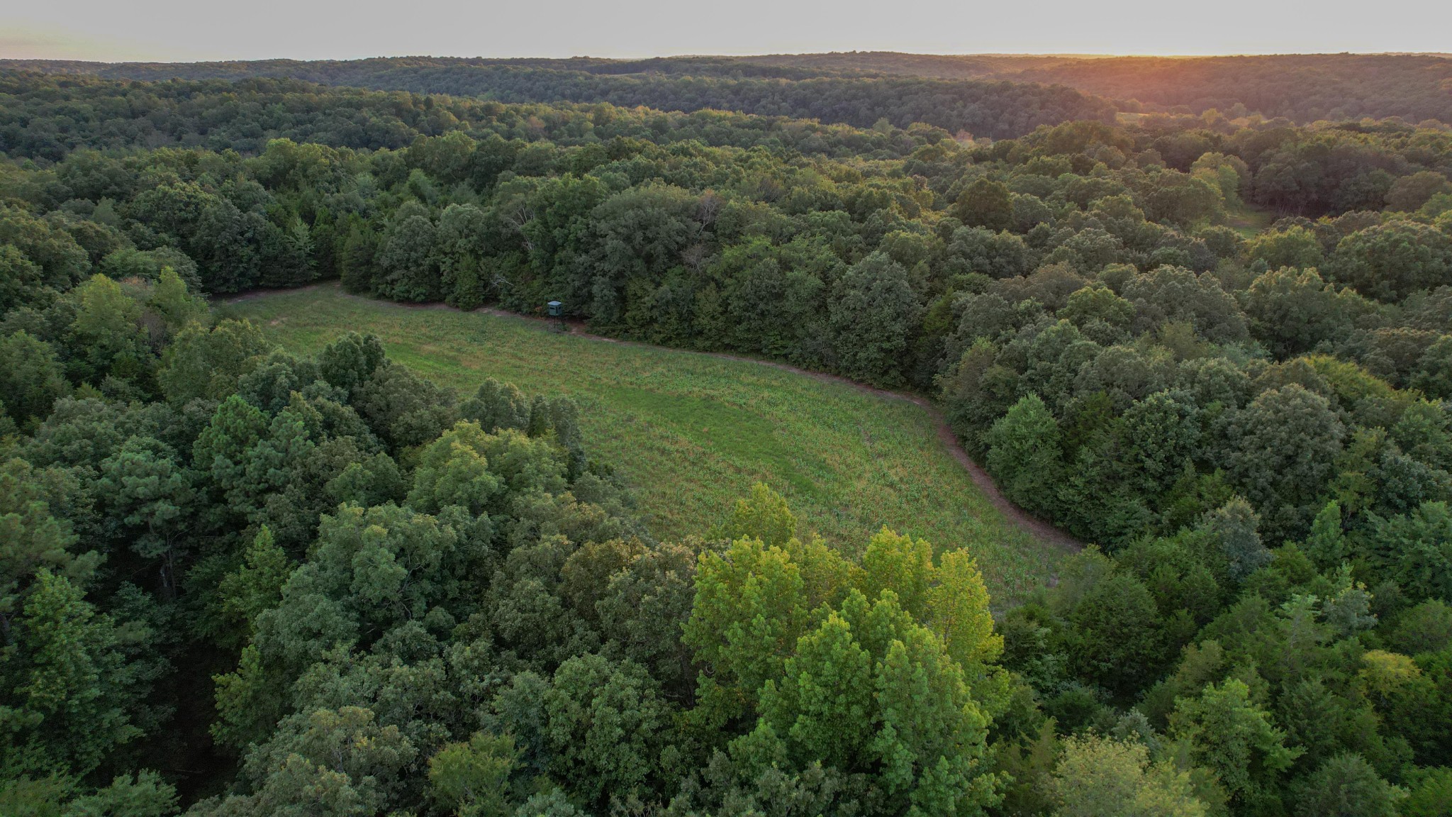 1651 Yellow Creek Road Dickson, TN 37055 - Photo 11 of 43 a view of a lush green forest with trees and some houses