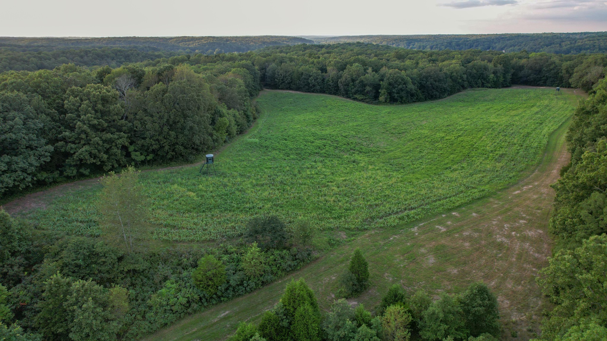 1651 Yellow Creek Road Dickson, TN 37055 - Photo 13 of 43