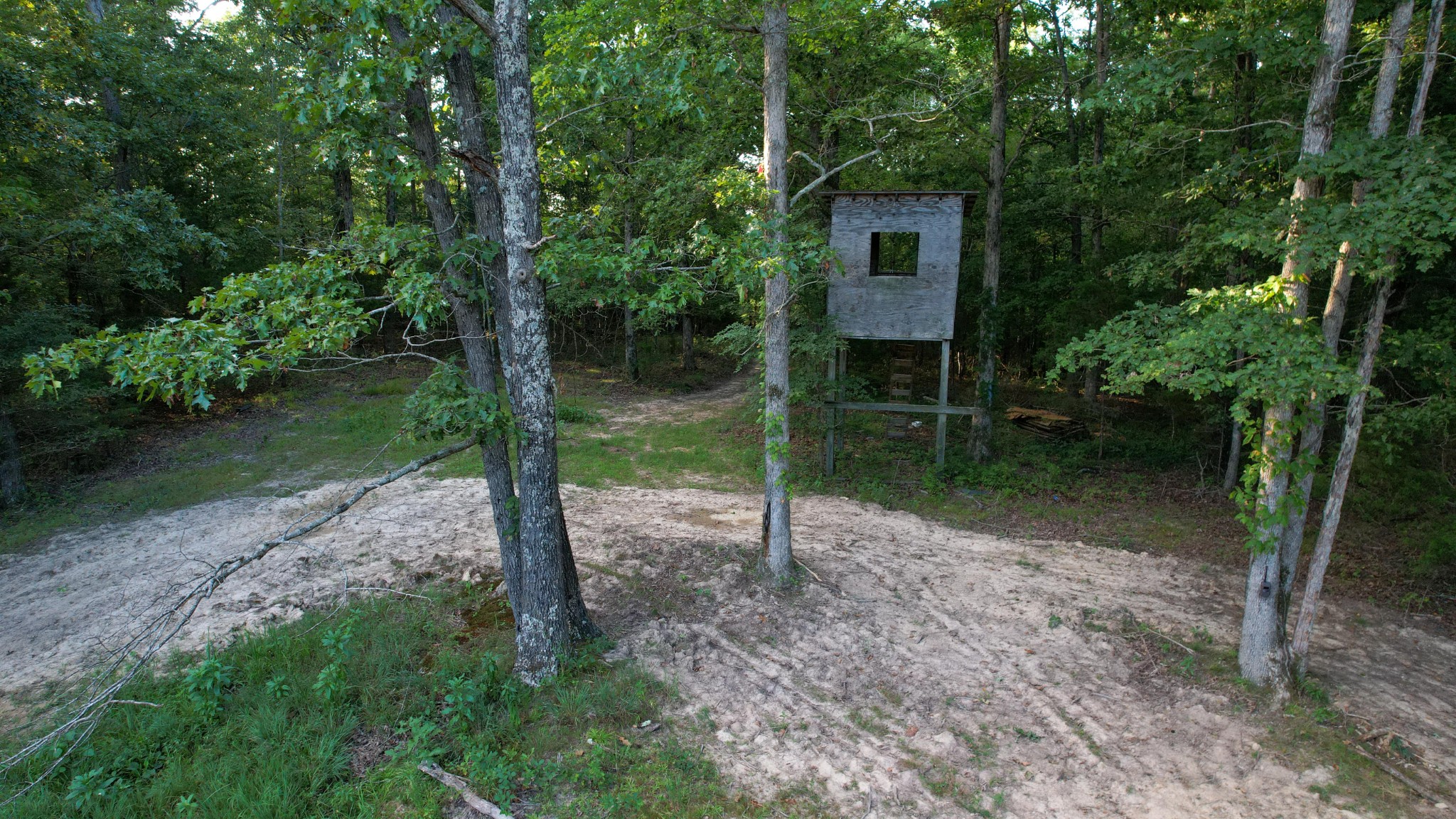 1651 Yellow Creek Road Dickson, TN 37055 - Photo 17 of 43 a view of a back yard