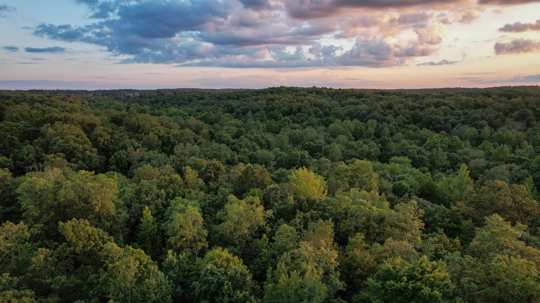1651 Yellow Creek Road Dickson, TN 37055 - Photo 19 of 43