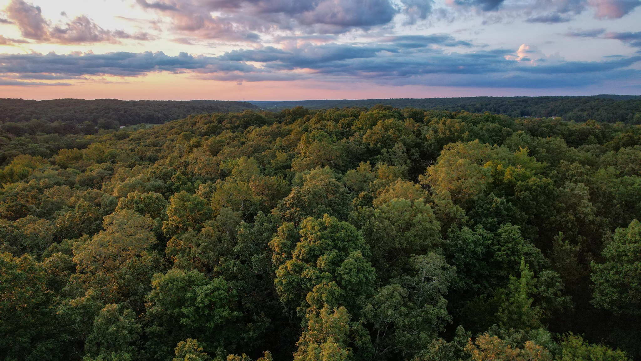 1651 Yellow Creek Road Dickson, TN 37055 - Photo 20 of 43