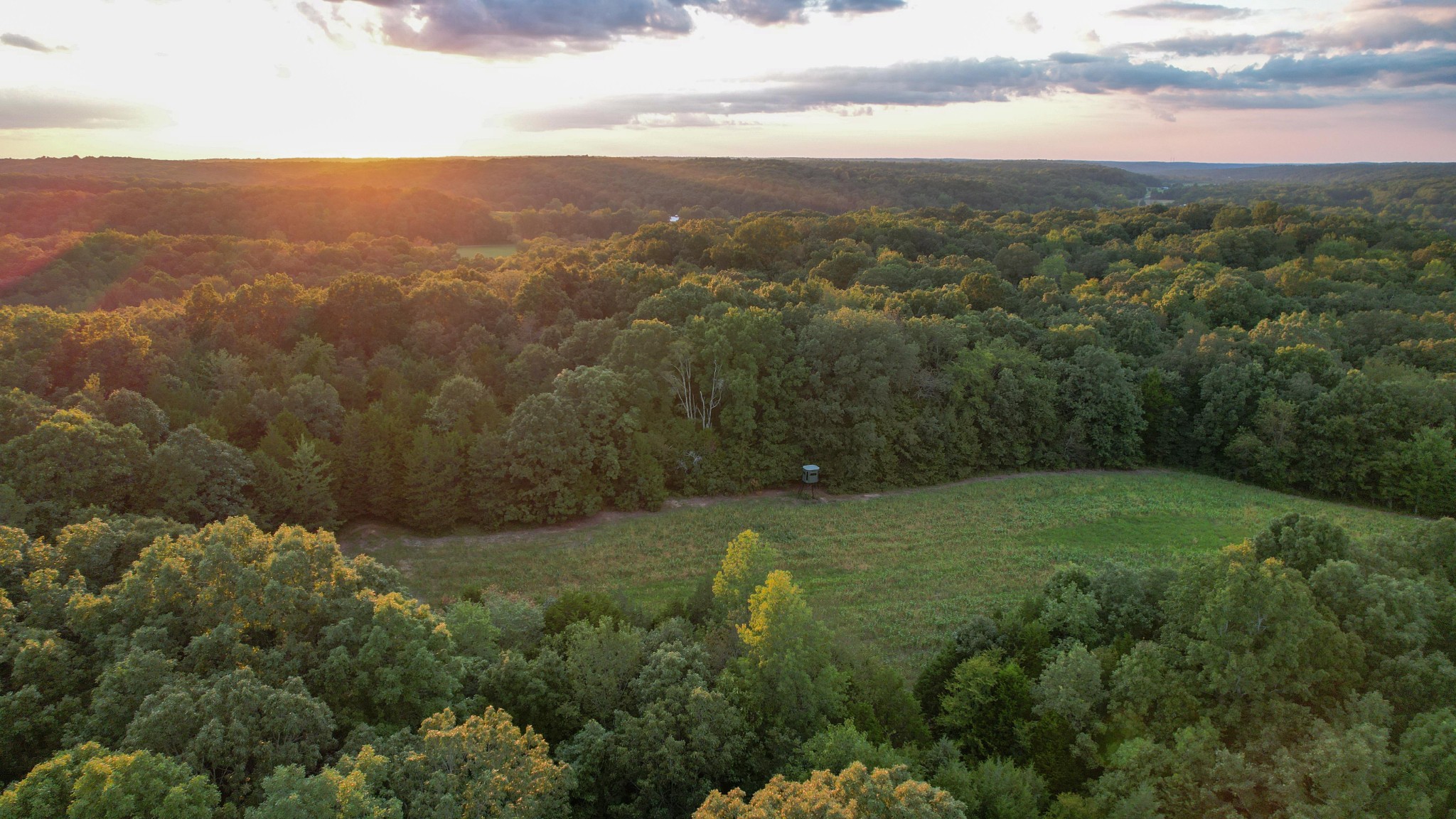 1651 Yellow Creek Road Dickson, TN 37055 - Photo 2 of 43