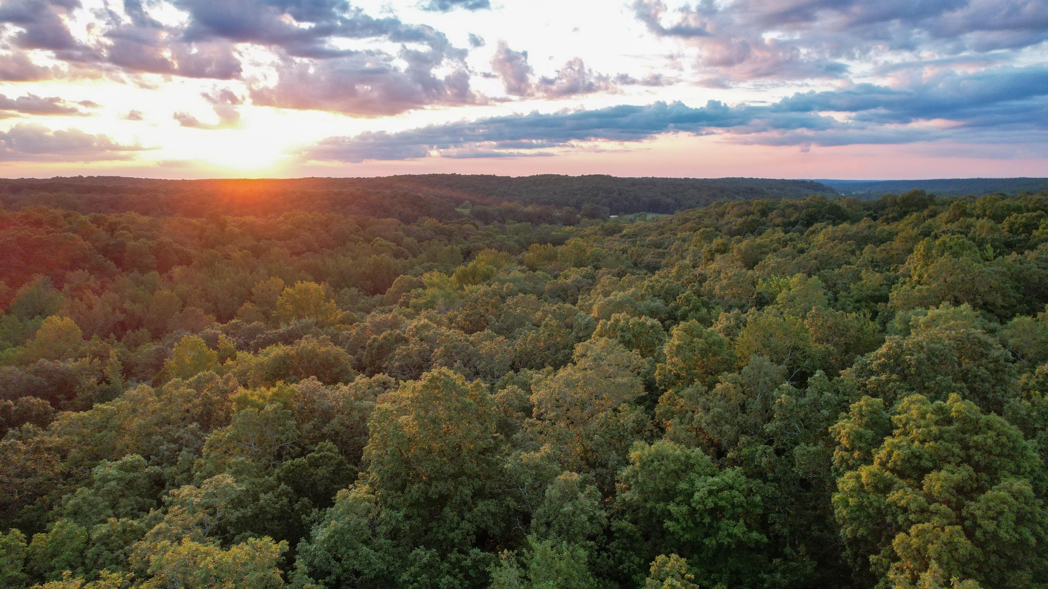 1651 Yellow Creek Road Dickson, TN 37055 - Photo 21 of 43