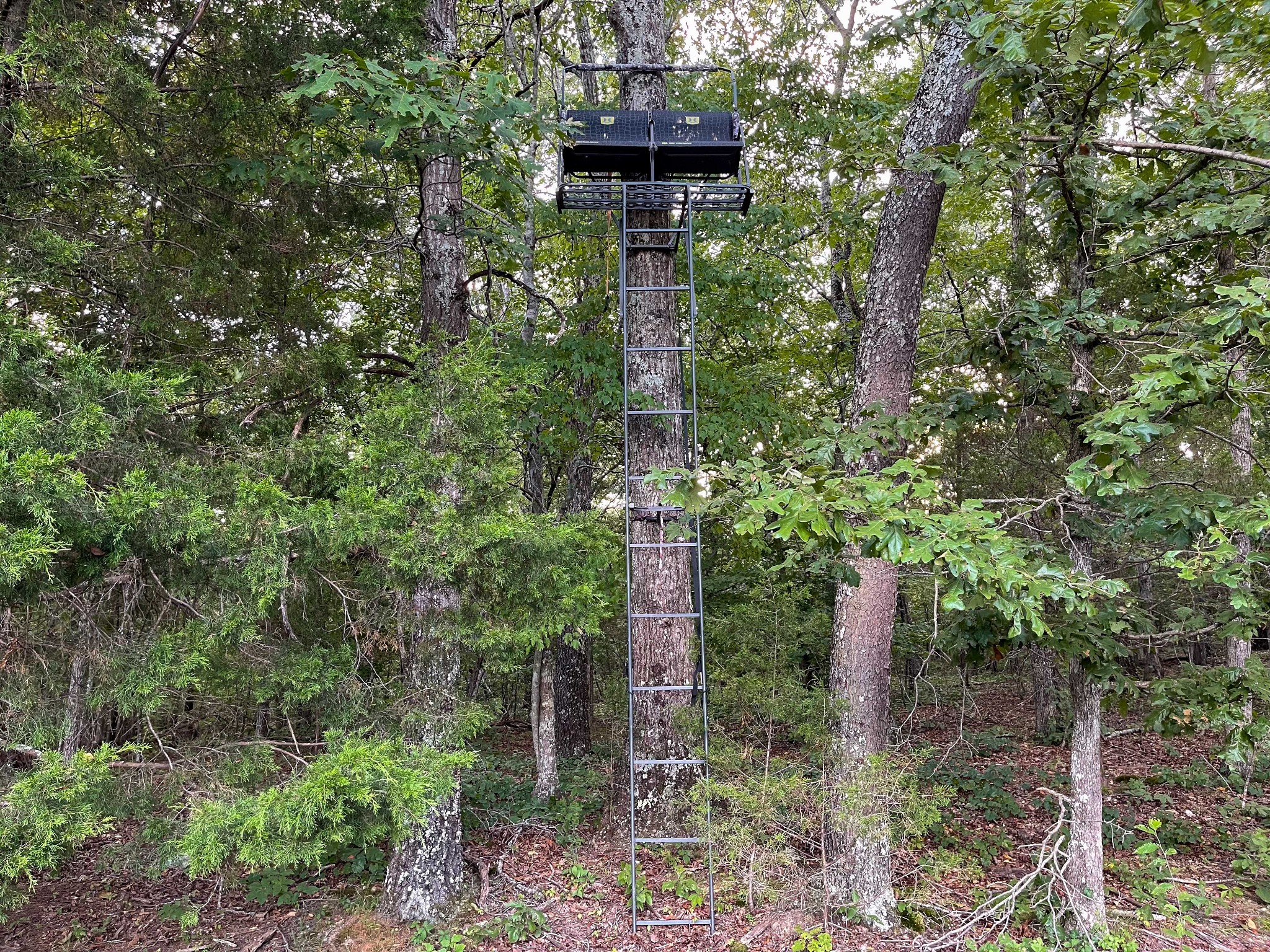 1651 Yellow Creek Road Dickson, TN 37055 - Photo 24 of 43