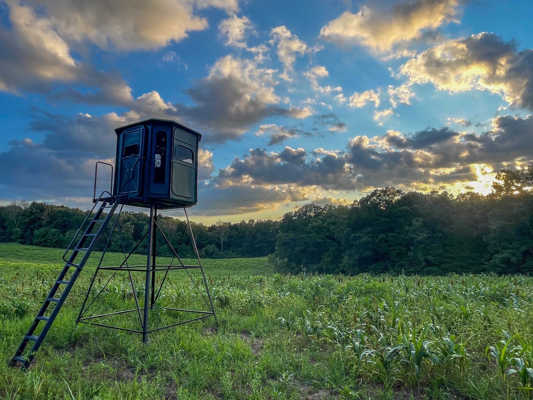 1651 Yellow Creek Road Dickson, TN 37055 - Photo 30 of 43 a view of a house with a big yard and a large tree