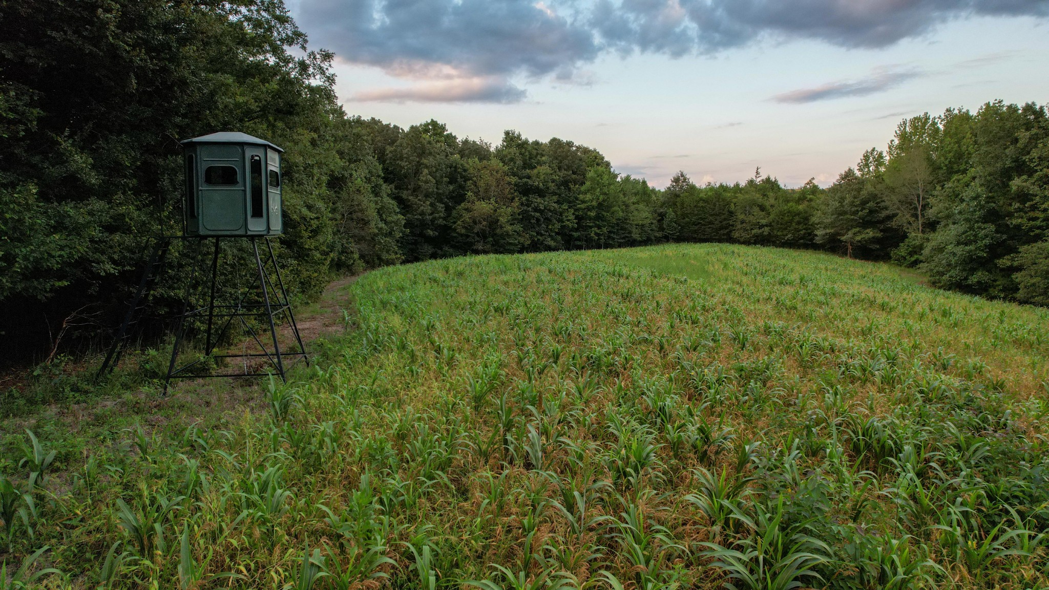 1651 Yellow Creek Road Dickson, TN 37055 - Photo 3 of 43
