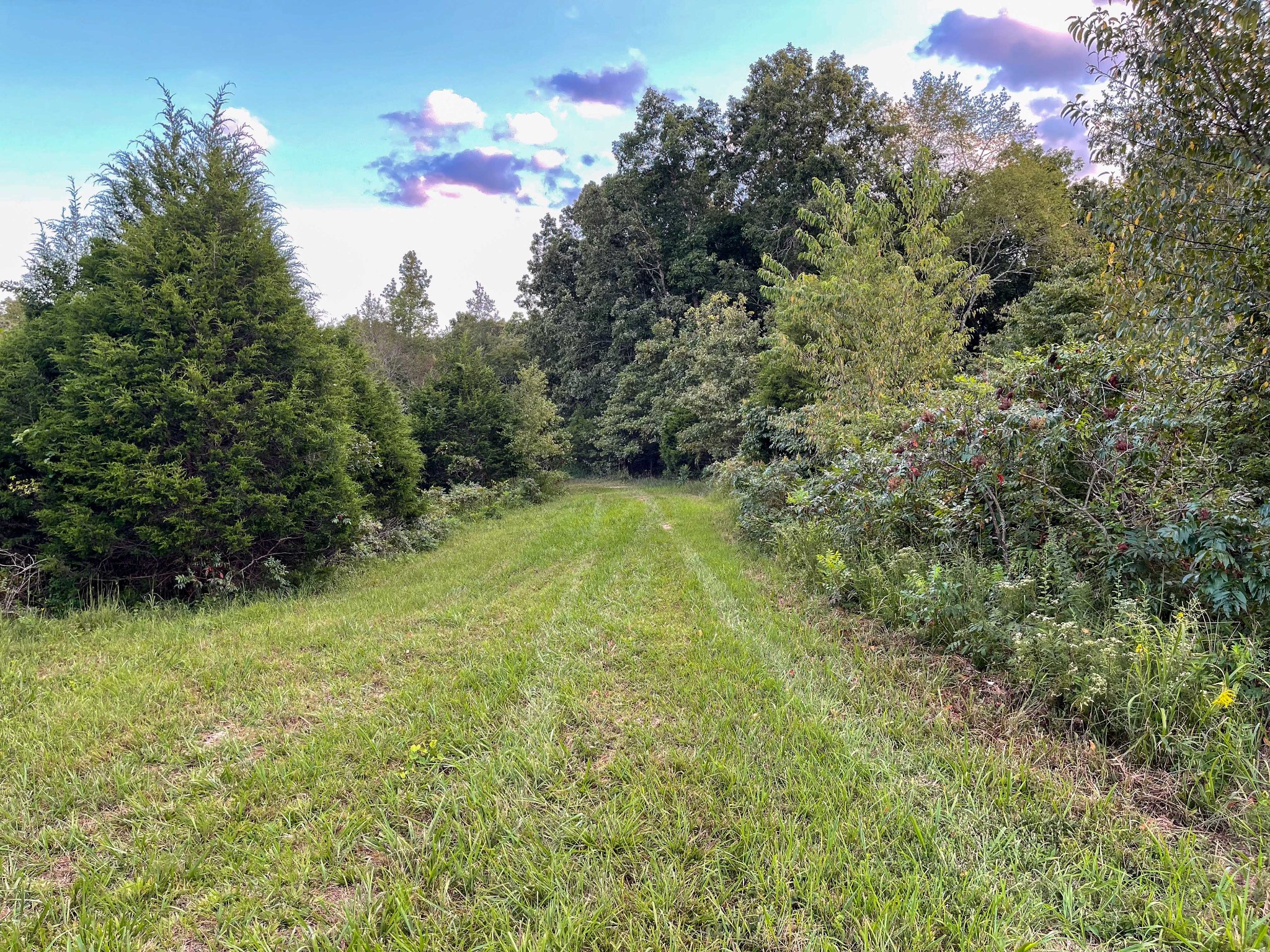 1651 Yellow Creek Road Dickson, TN 37055 - Photo 32 of 43