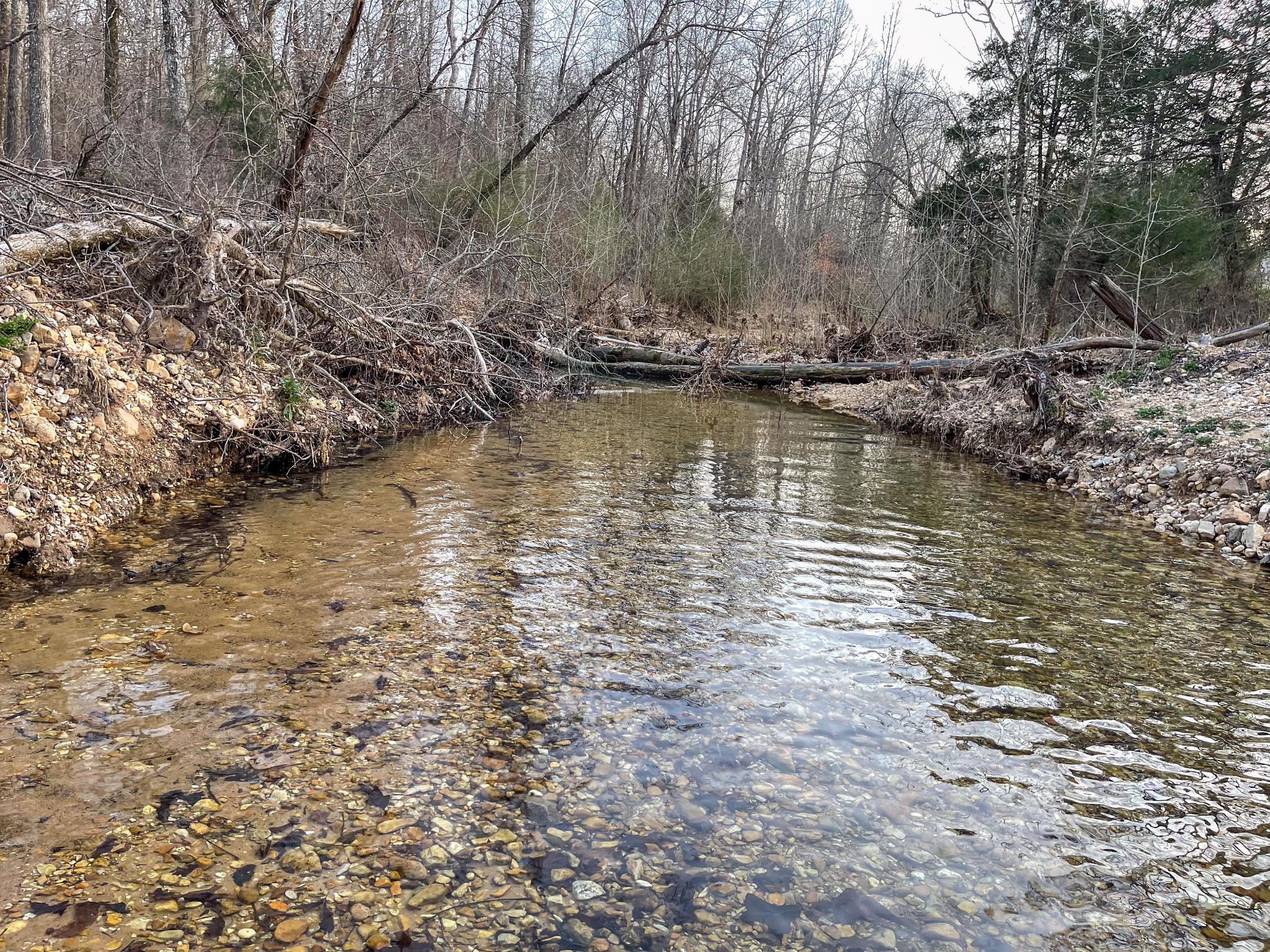 1651 Yellow Creek Road Dickson, TN 37055 - Photo 34 of 43