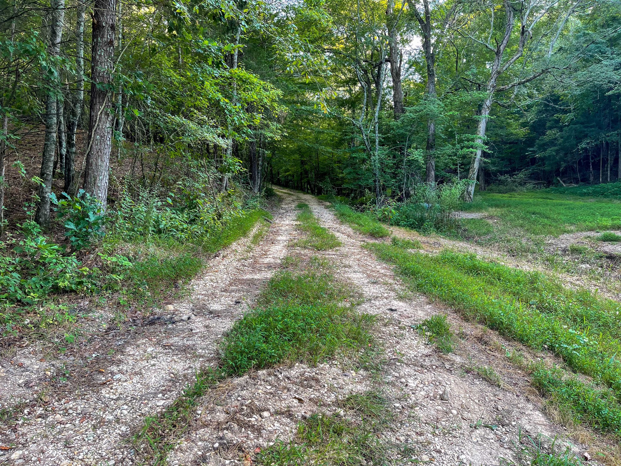 1651 Yellow Creek Road Dickson, TN 37055 - Photo 41 of 43