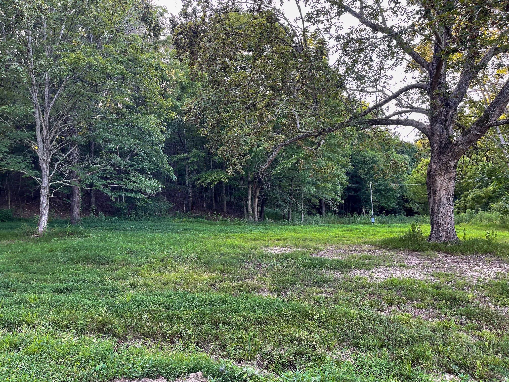 1651 Yellow Creek Road Dickson, TN 37055 - Photo 43 of 43 a view of a backyard with a trees