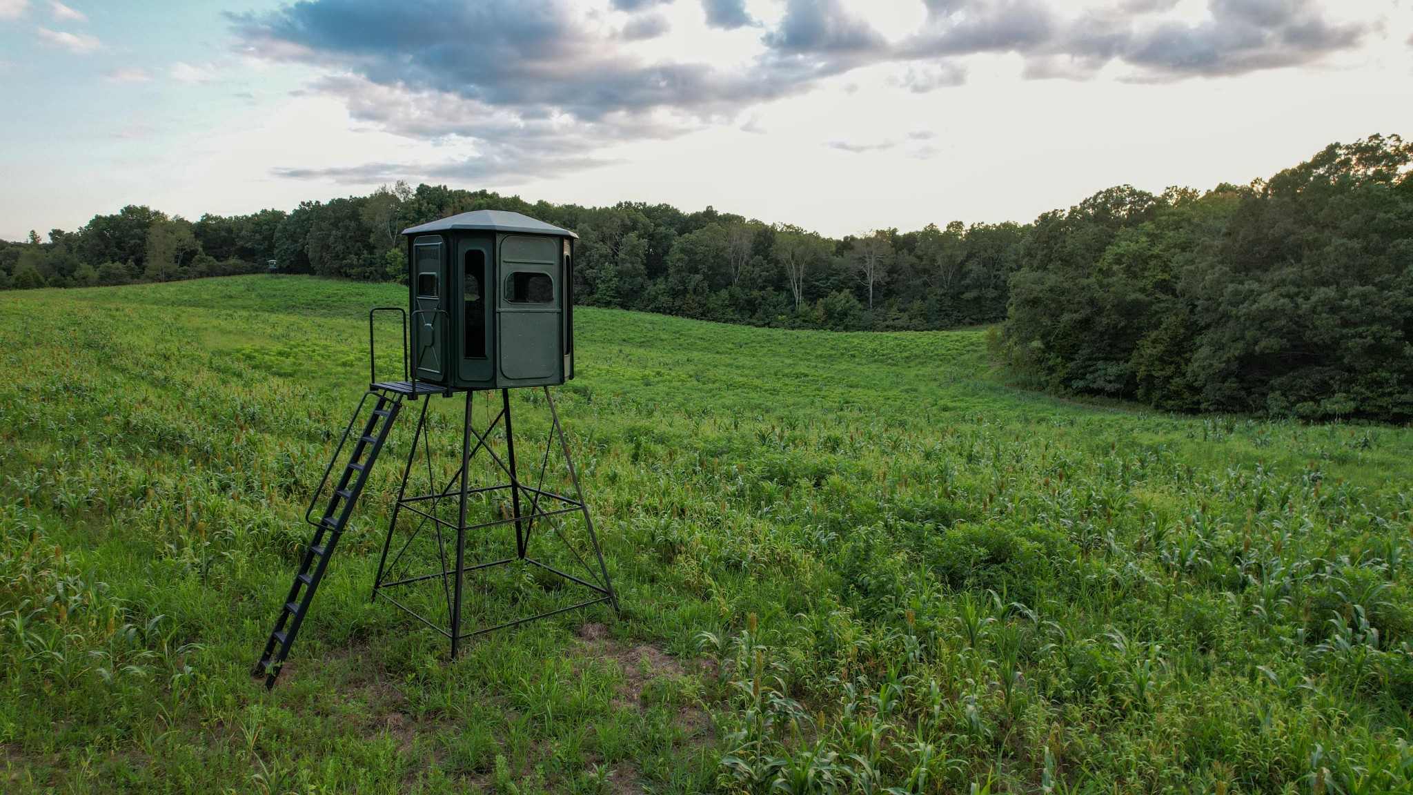 1651 Yellow Creek Road Dickson, TN 37055 - Photo 6 of 43