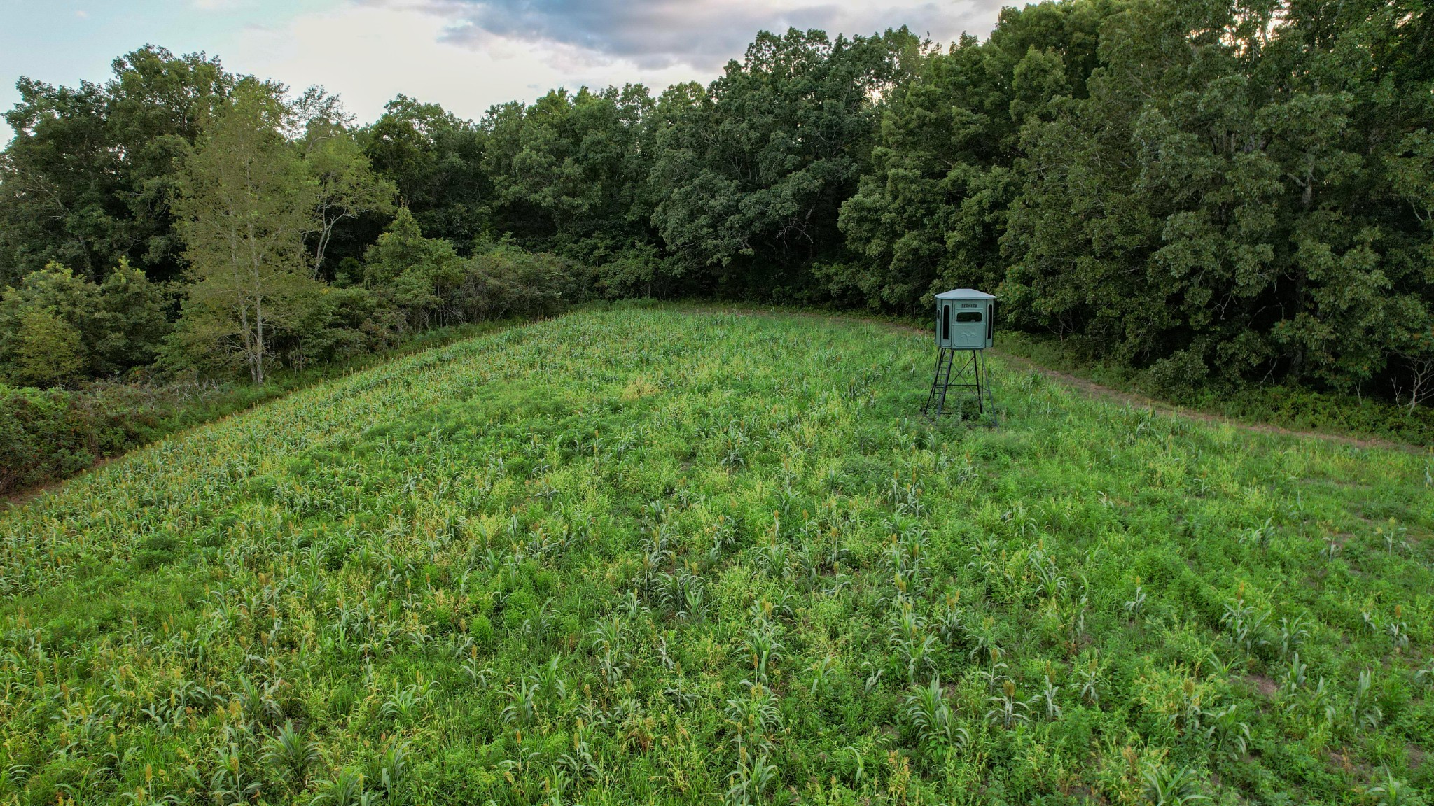 1651 Yellow Creek Road Dickson, TN 37055 - Photo 8 of 43 a view of a green field with lots of bushes