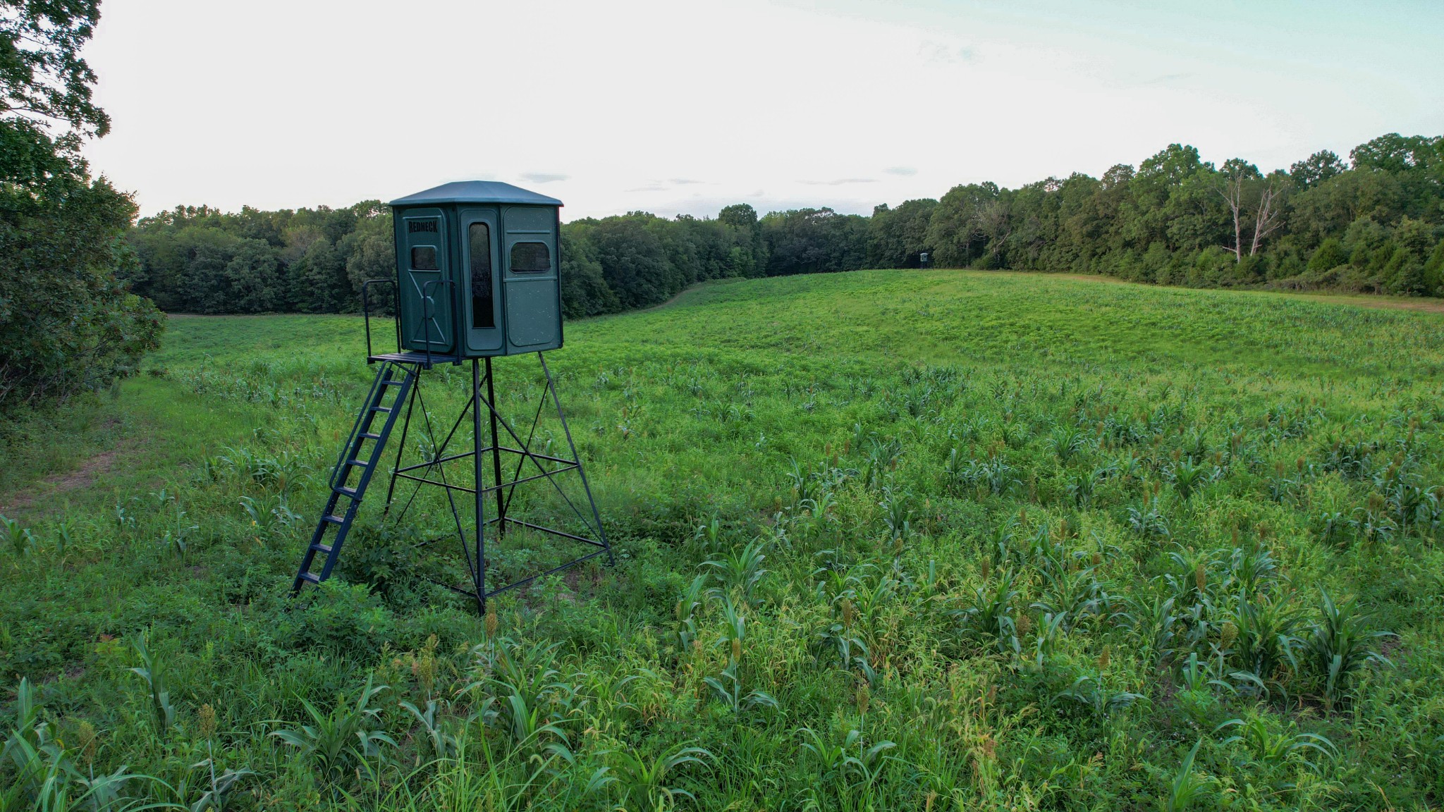 1651 Yellow Creek Road Dickson, TN 37055 - Photo 9 of 43
