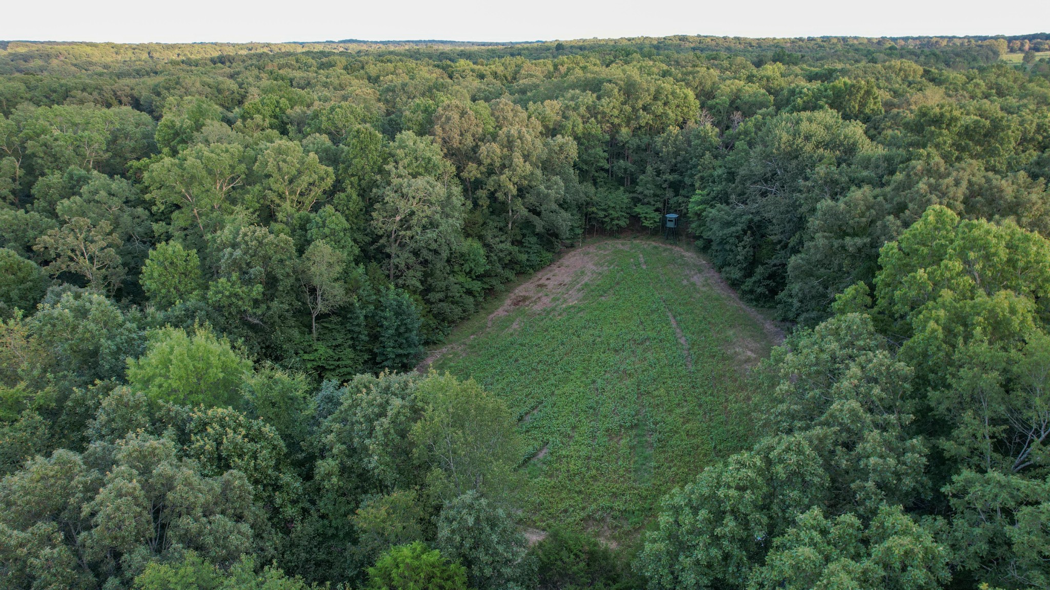 1651 Yellow Creek Road Dickson, TN 37055 - Photo 10 of 43