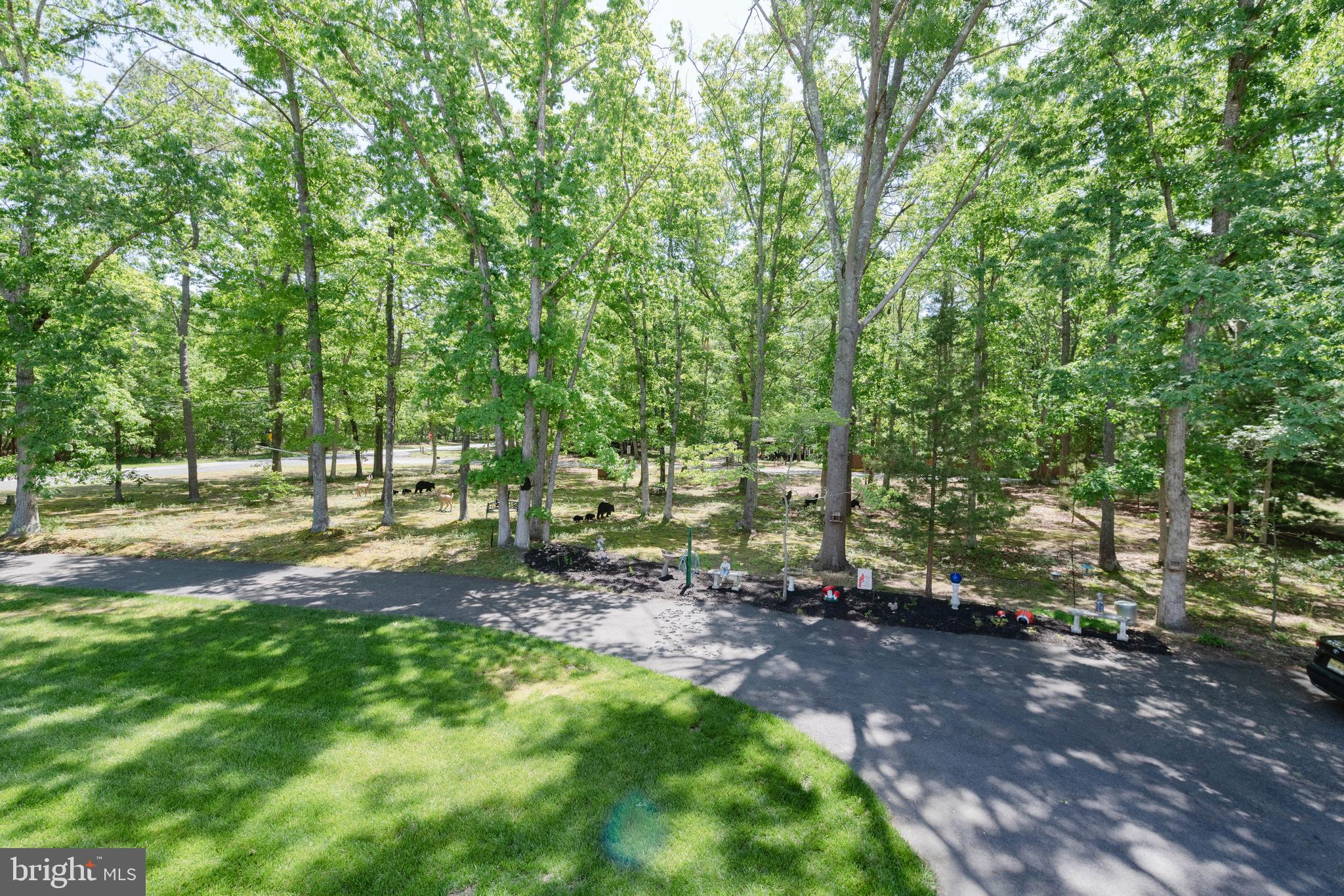 4423 Moss Mill Road Hammonton, NJ 08037 - Photo 54 of 76 Gallery Image 54