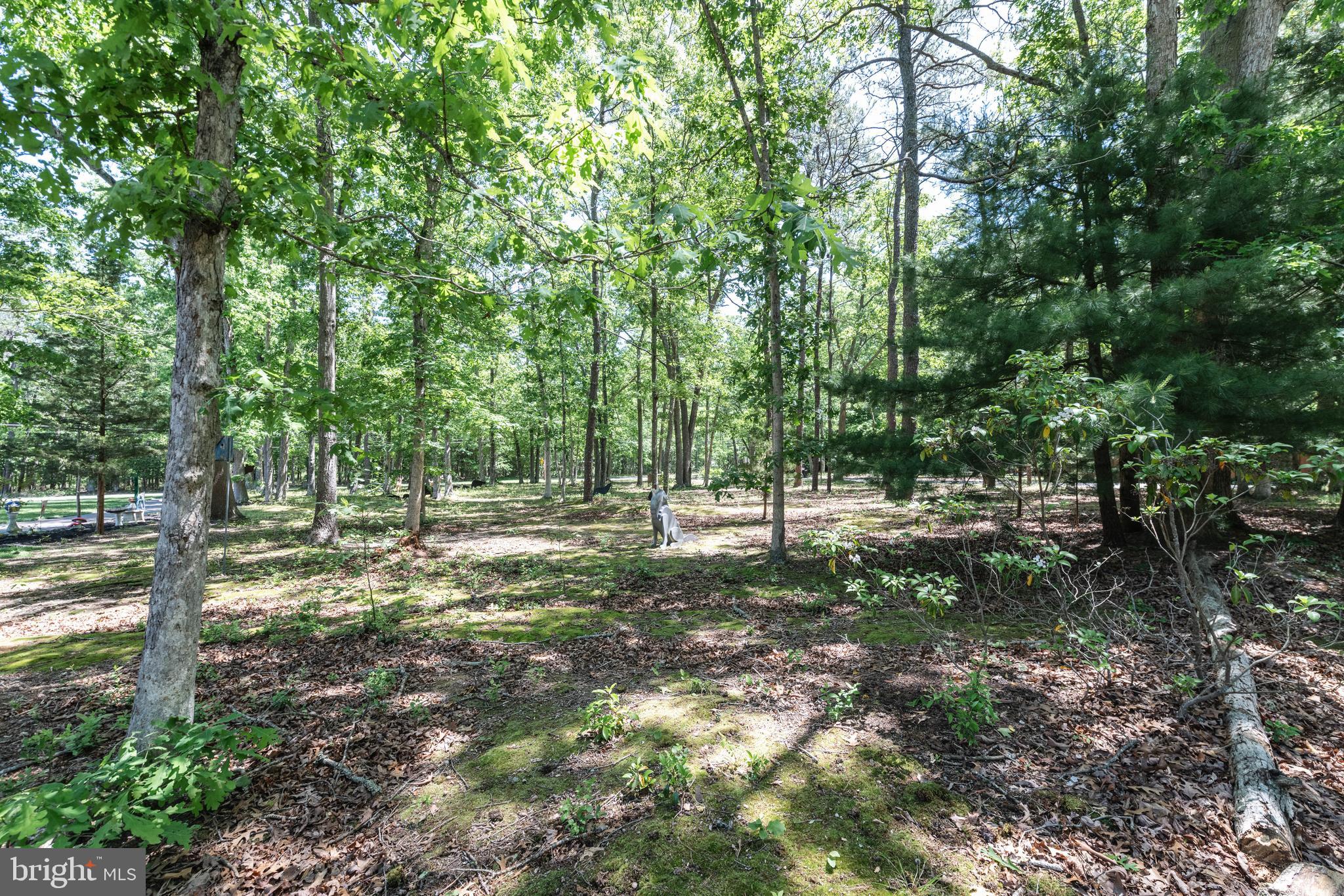 4423 Moss Mill Road Hammonton, NJ 08037 - Photo 67 of 76 Gallery Image 67