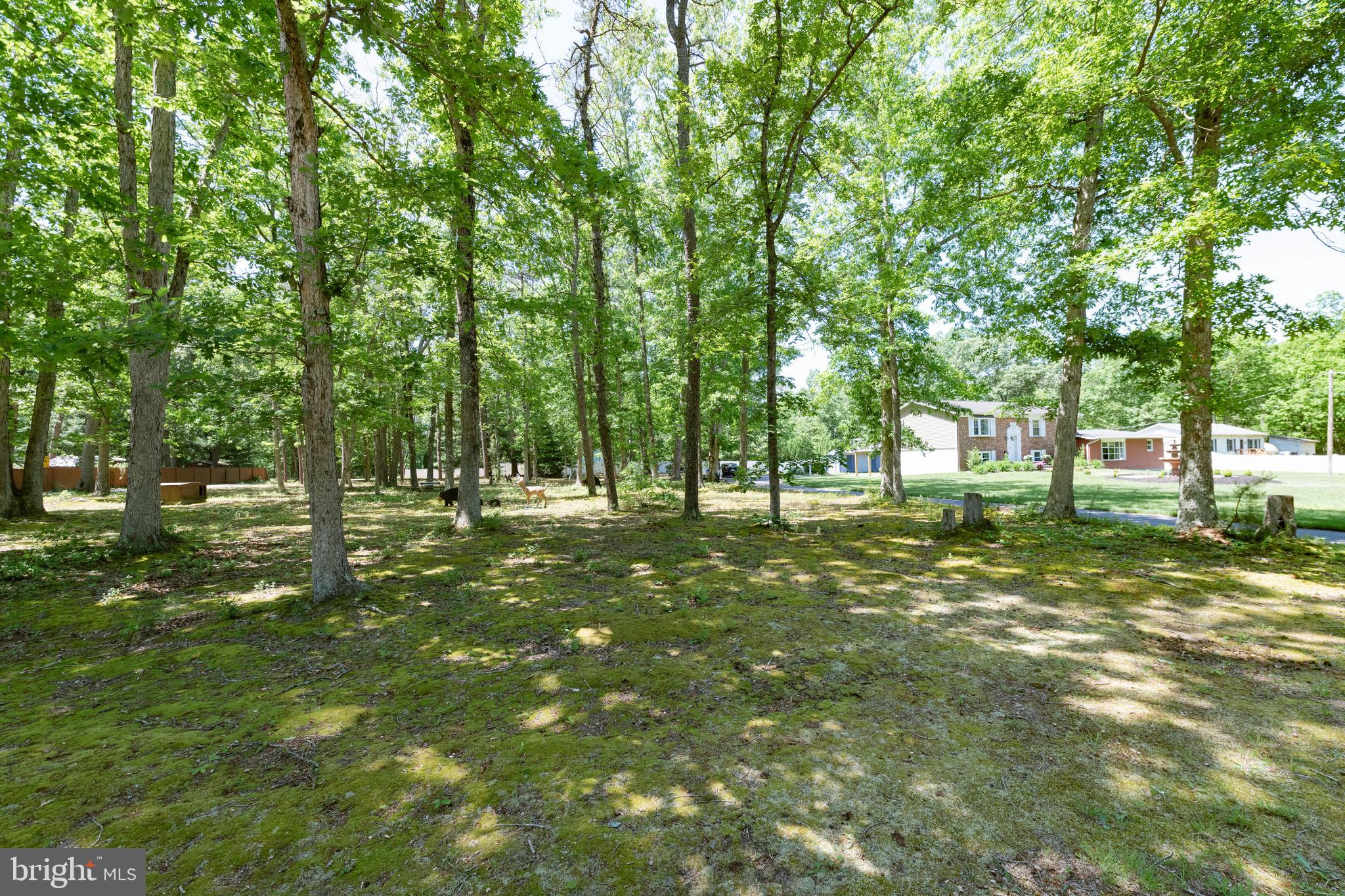 4423 Moss Mill Road Hammonton, NJ 08037 - Photo 69 of 76 Vacant Lot!