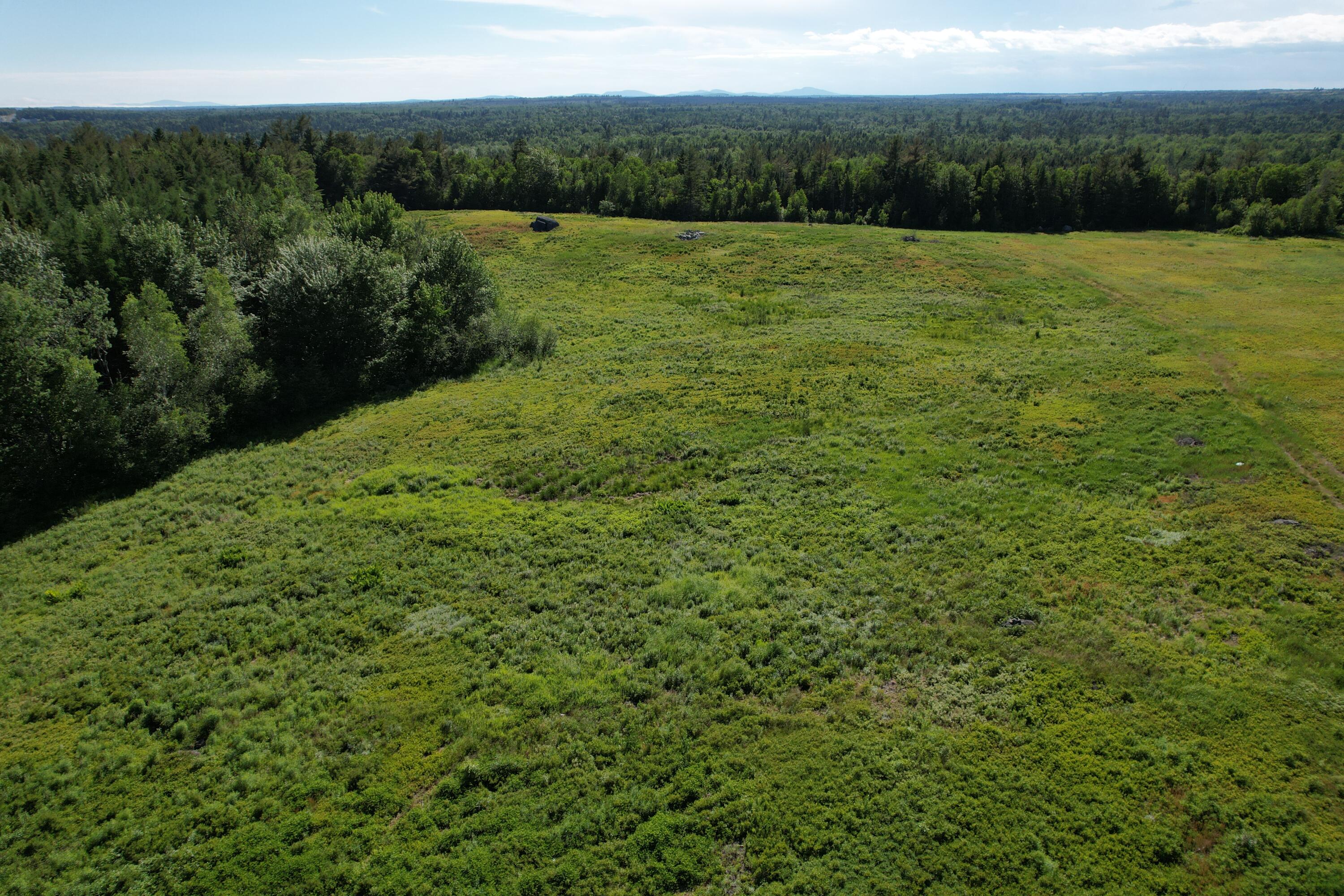 Lot # Epping Road Columbia Falls, ME 04623 - Photo 14 of 18 DJI_0281