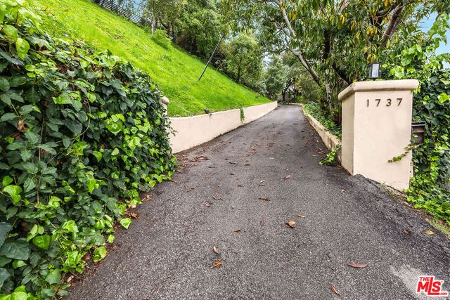 a view of a yard with plants