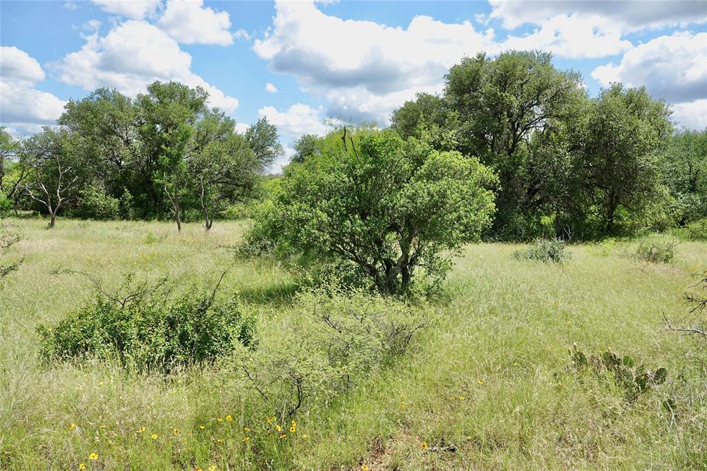 219 C R 550 Mullin, TX 76864 - Photo 23 of 37 a view of a yard