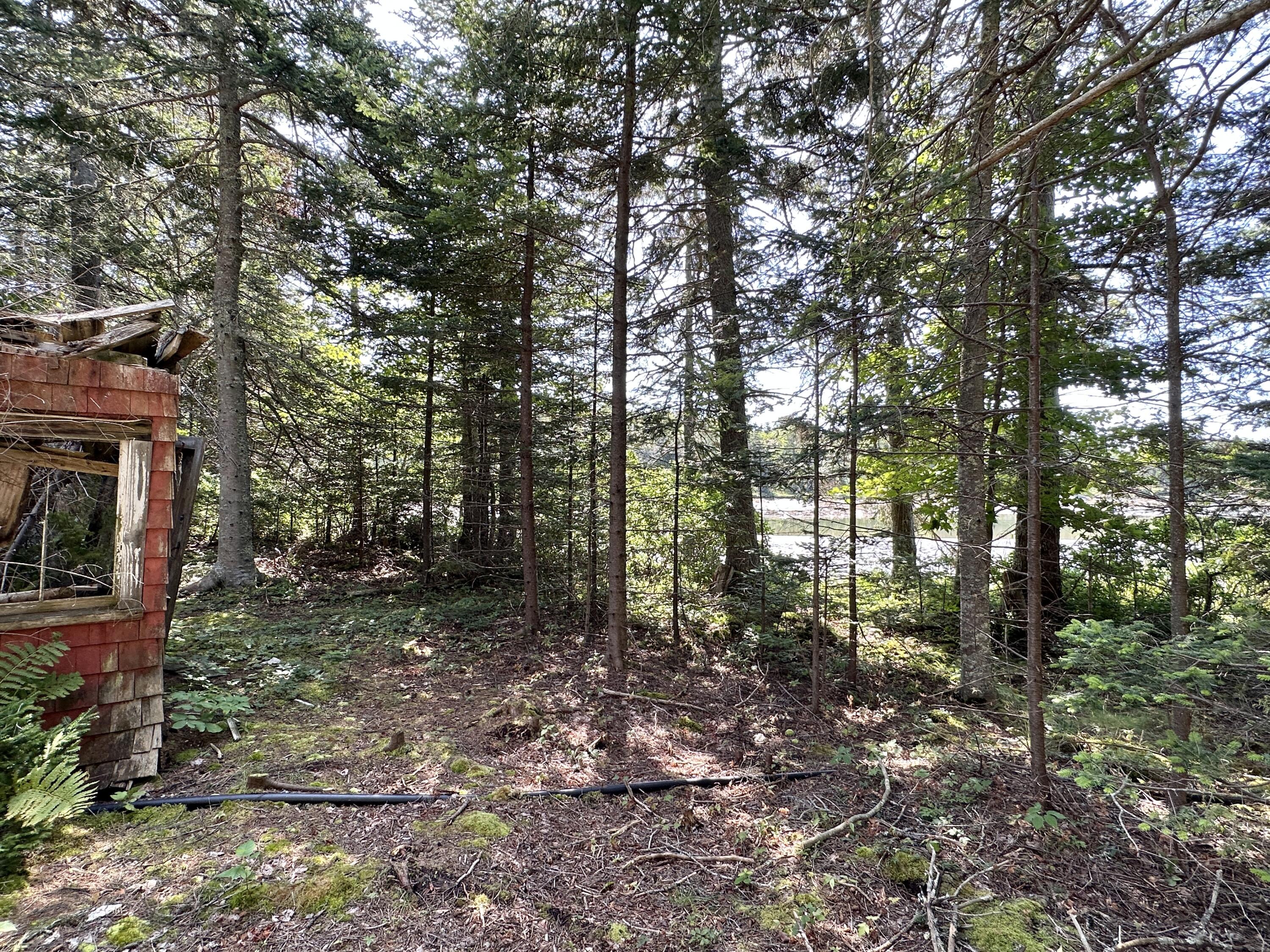 31 Fay Road Spruce Head, ME 04859 - Photo 46 of 77 IMG_1078 2