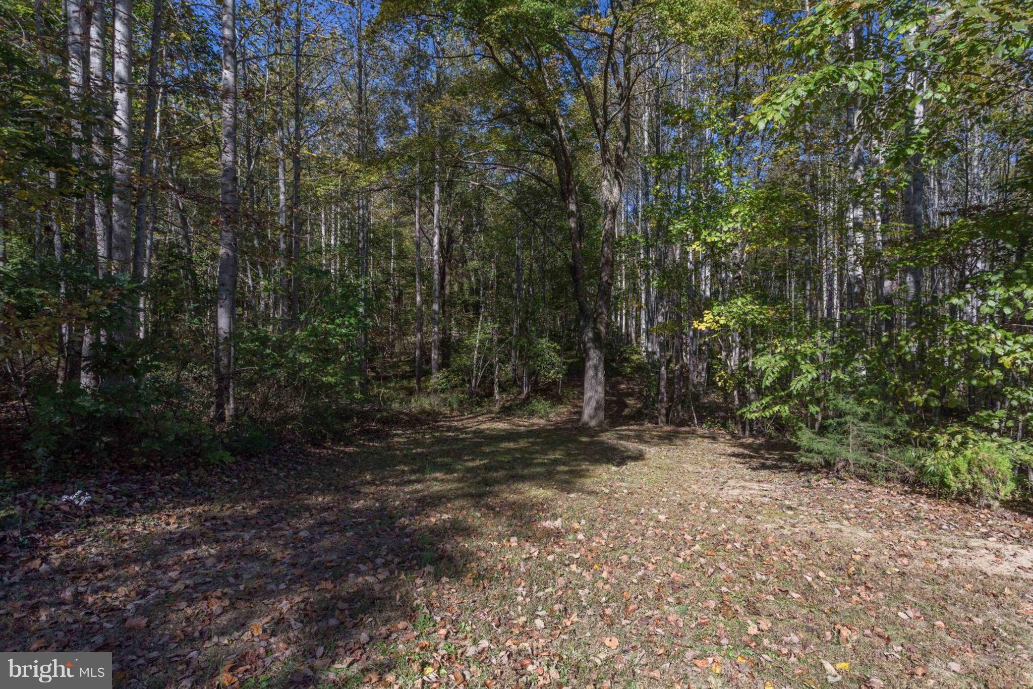 10160 Settle School Road Rixeyville, VA 22737 - Photo 45 of 48