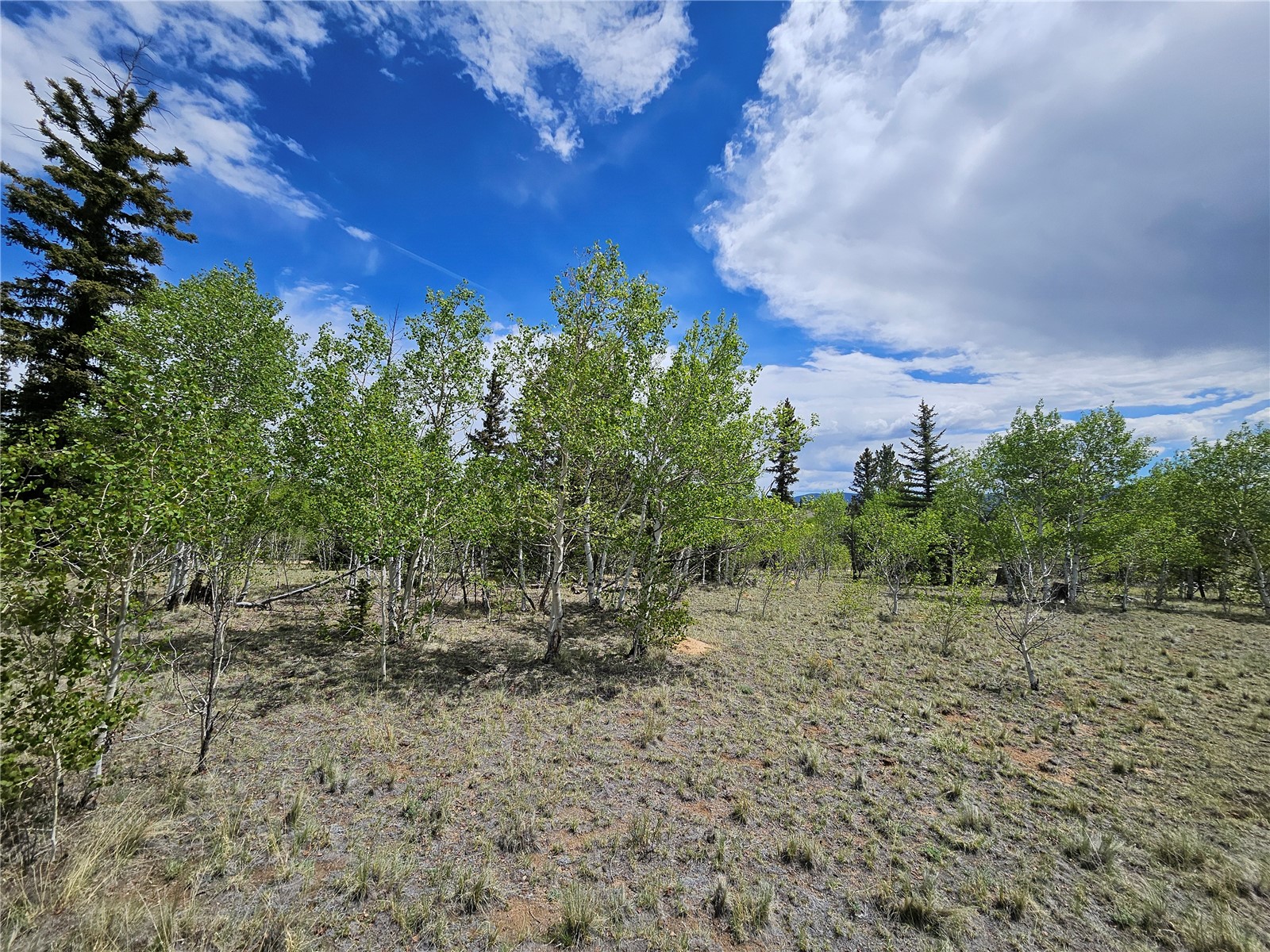412 Smith And Wesson Road Como, CO 80432 - Photo 18 of 50