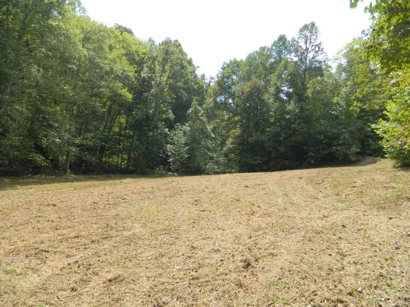 1300 Hyden Road Booneville, KY 41314 - Photo 7 of 27 Photo 7