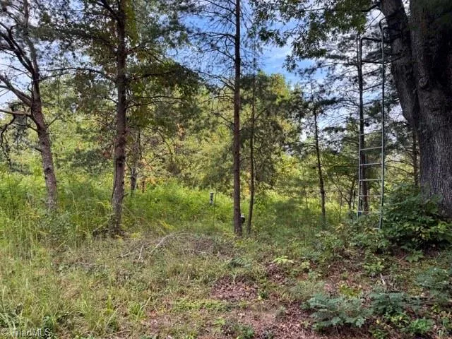 $35,000 | Tbd Crews Road, Moravian Falls, NC 28654