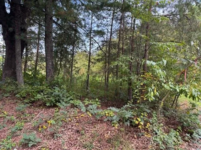 $35,000 | Tbd Crews Road, Moravian Falls, NC 28654