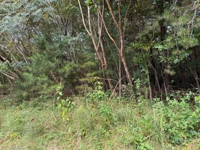 $35,000 | Tbd Crews Road, Moravian Falls, NC 28654