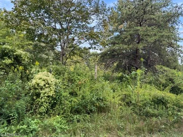 $35,000 | Tbd Crews Road, Moravian Falls, NC 28654