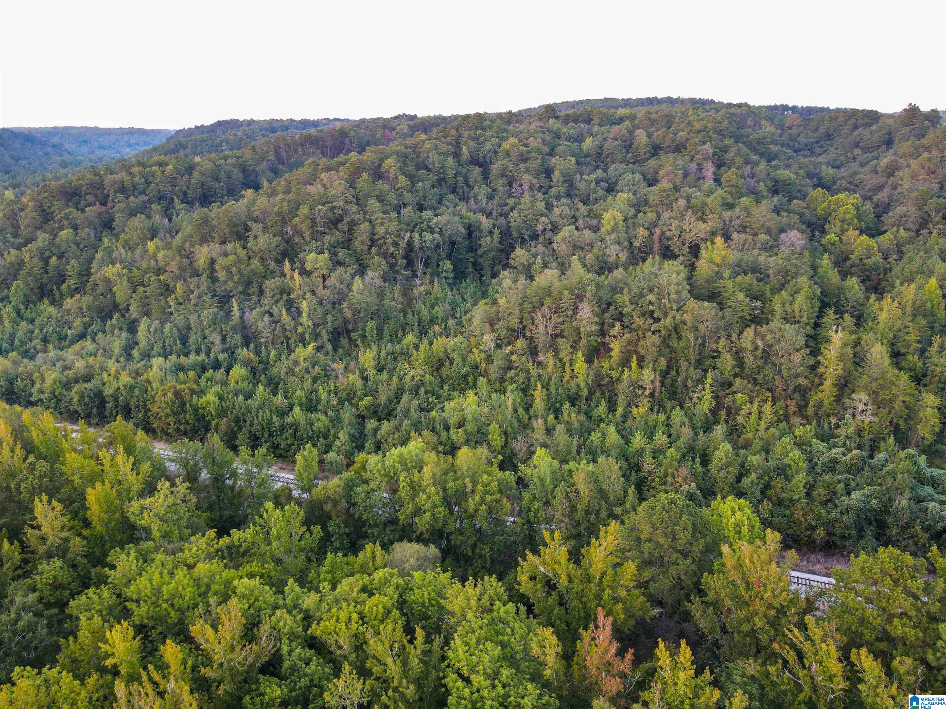 1 Highway 18, Unit 1 Oakman, AL 35579 - Photo 25 of 46