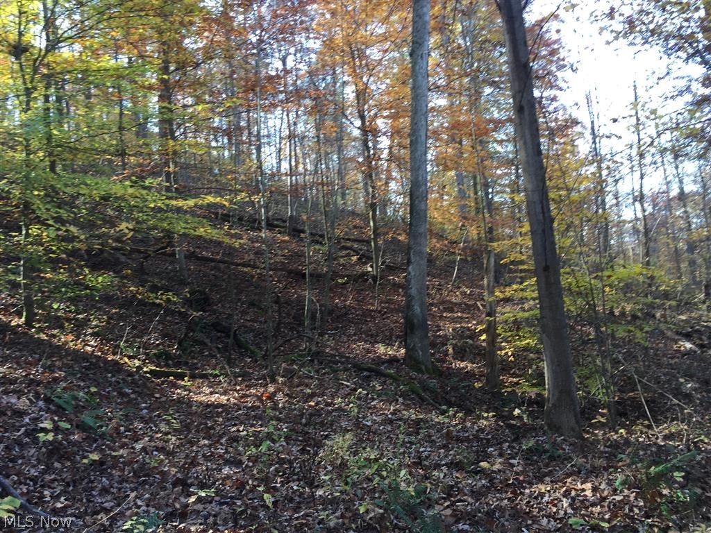 Long Run Cairo, WV 26337 - Photo 1 of 7 Gallery Image 1