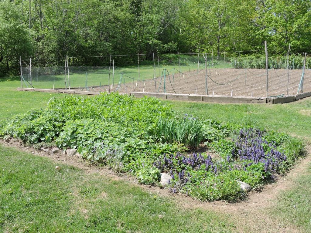 52 Muskrat Farm Road Stockton Springs, ME 04981 - Photo 29 of 35 Photo