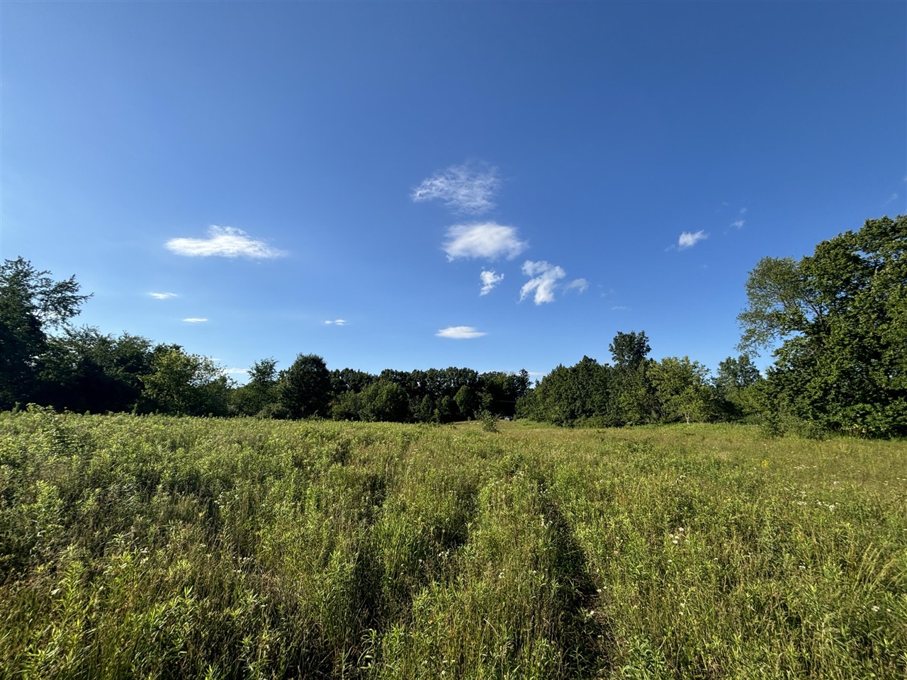 38.14 Northeast A Ne Hayes Road Comstock Park, MI 49321 - Photo 7 of 38