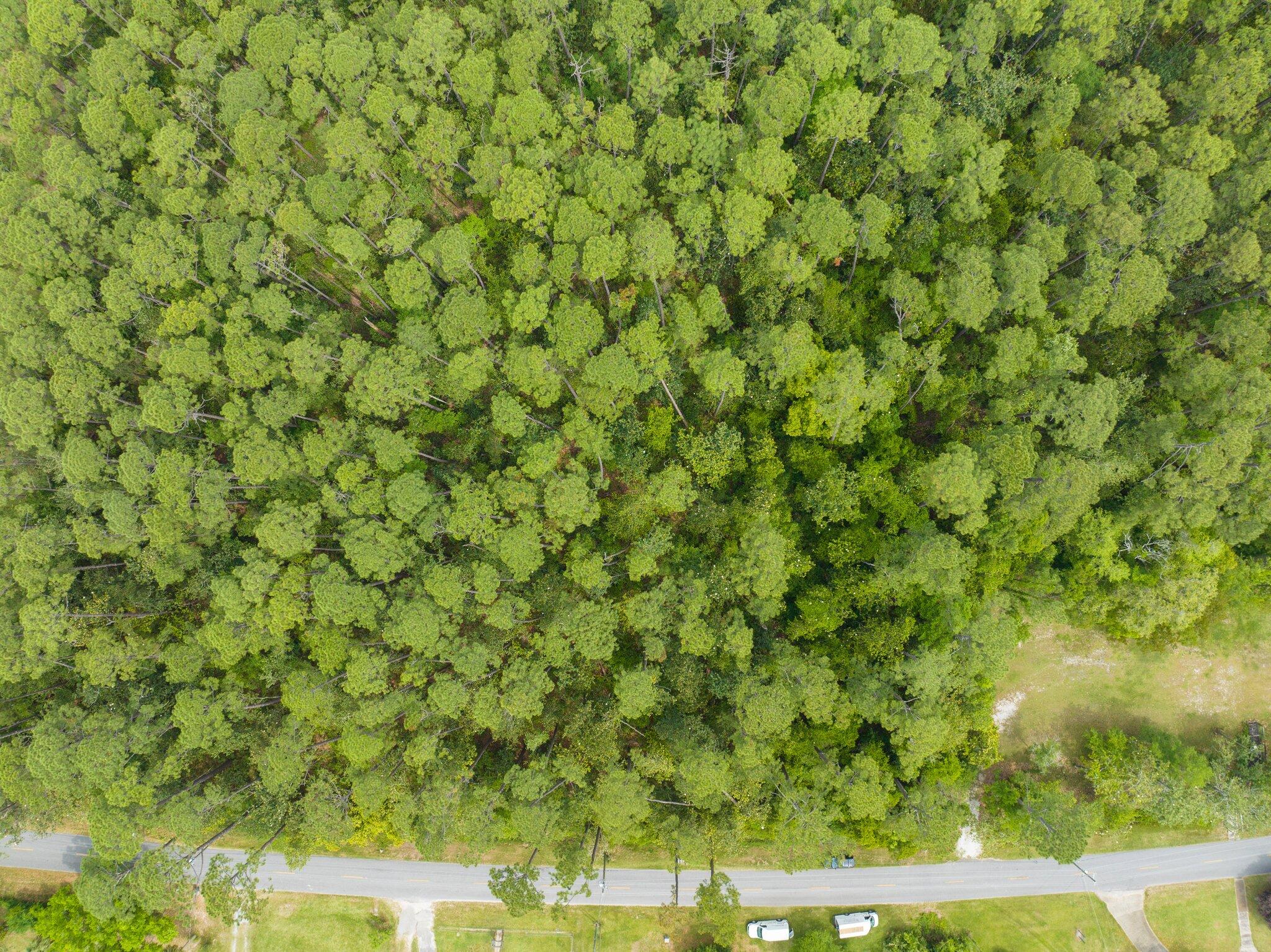9700 North Loop Road Pensacola, FL 32507 - Photo 9 of 17 Aerial