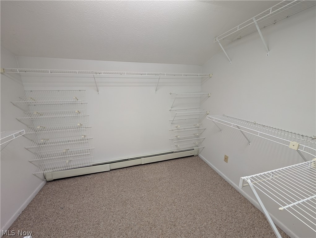 7353 Columbia Road Olmsted Falls, OH 44138 - Photo 15 of 49 Master closet