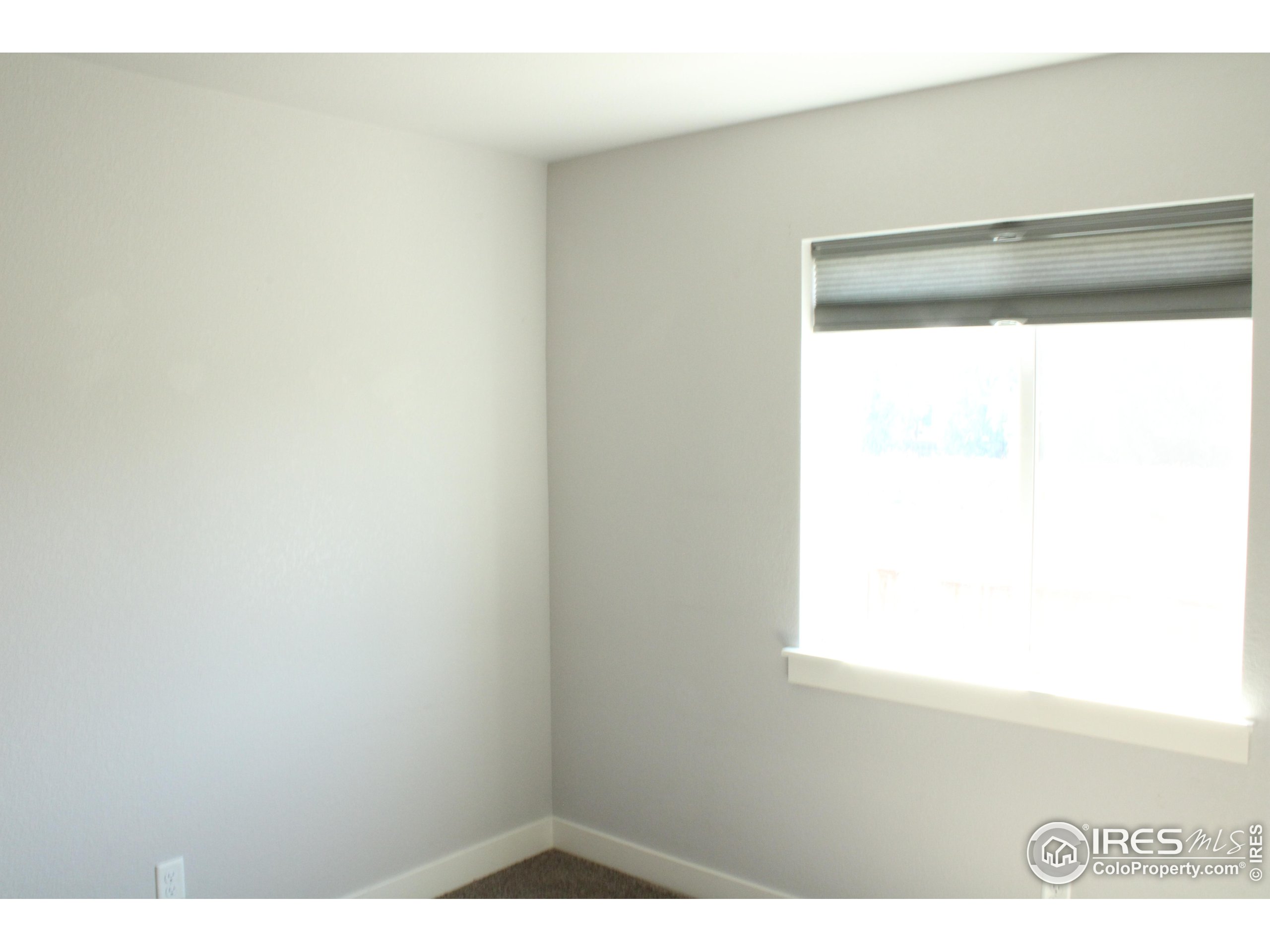 2263 Adobe Drive Fort Collins, CO 80525 - Photo 20 of 25 a picture of a wall